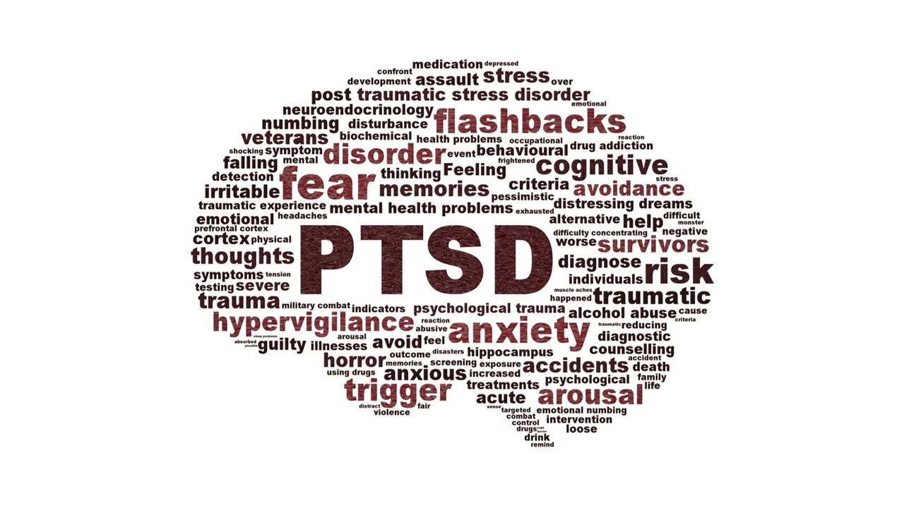 Trauma and Post-traumatic Stress Disorder (PTSD) work map in a brain shape