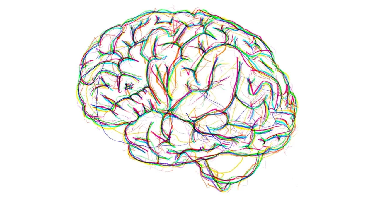 Eye Movement Desensitisation and Reprocessing (EMDR) Eye Movement Desensitisation and Reprocessing (EMDR) brain graphic
