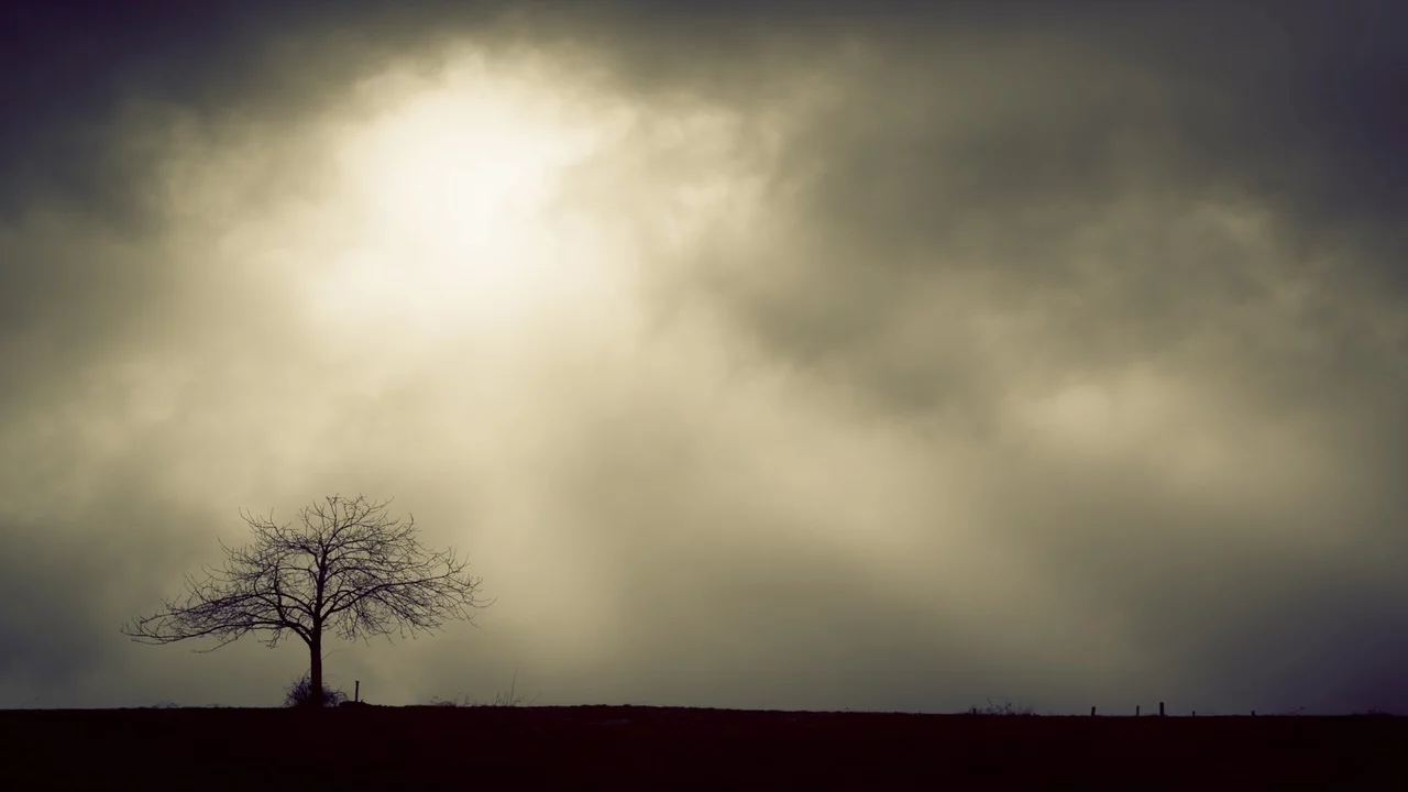 Grief and Loss - a desolate tree with a cloudy grey sky background